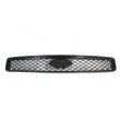 Grille de radiateur BLIC 6502-07-2576990P - Visuel 1