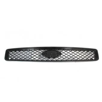 Grille de radiateur BLIC 6502-07-2576990P