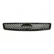 Grille de radiateur BLIC 6502-07-2576990P - Visuel 2