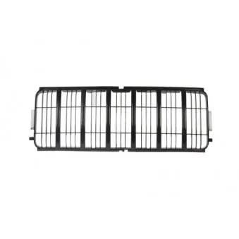 Grille de radiateur BLIC 6502-07-3211991P