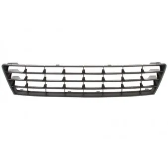 Grille de radiateur BLIC 6502-07-3277991P