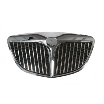 Grille de radiateur BLIC 6502-07-3330992P