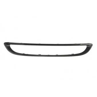 Cadre, grille de radiateur BLIC 6502-07-3502989P