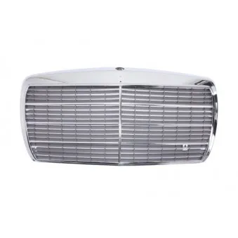 Grille de radiateur BLIC 6502-07-3525992P