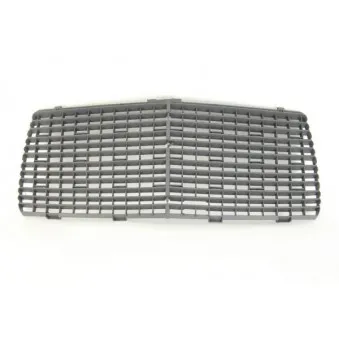 Grille de radiateur BLIC 6502-07-3526996P