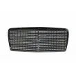 Grille de radiateur BLIC 6502-07-3526998P - Visuel 1