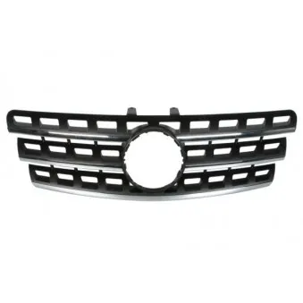 Grille de radiateur BLIC 6502-07-3538994P