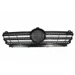 Grille de radiateur BLIC 6502-07-3546992P - Visuel 1