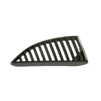 Grille de radiateur BLIC 6502-07-3719993P