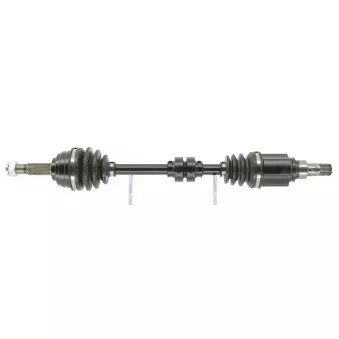 Arbre de transmission CEVAM 51553