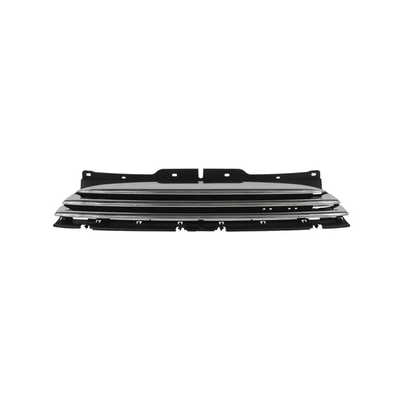 Grille de radiateur BLIC 6502-07-4001992P