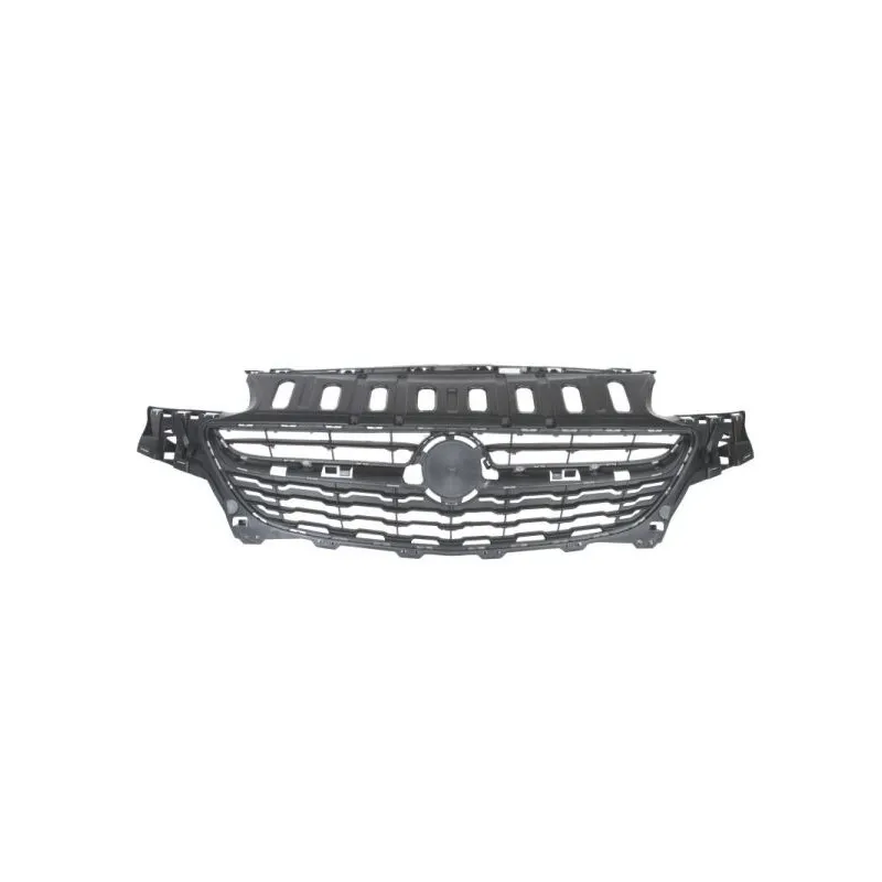 Grille de radiateur BLIC 6502-07-5025990Q