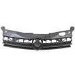 Grille de radiateur BLIC 6502-07-5052990P - Visuel 2