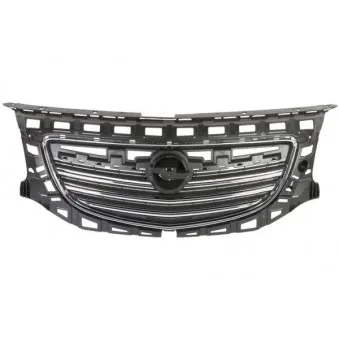 Grille de radiateur BLIC 6502-07-5079990P