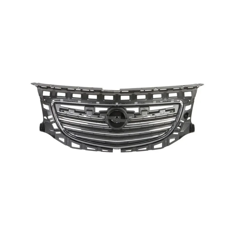 Grille de radiateur BLIC 6502-07-5079990P