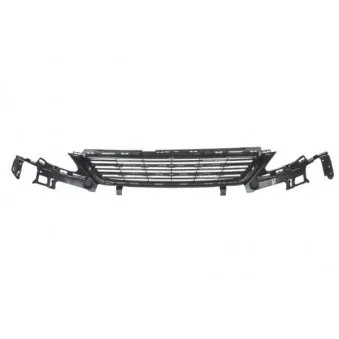 Grille de radiateur BLIC 6502-07-5519995P