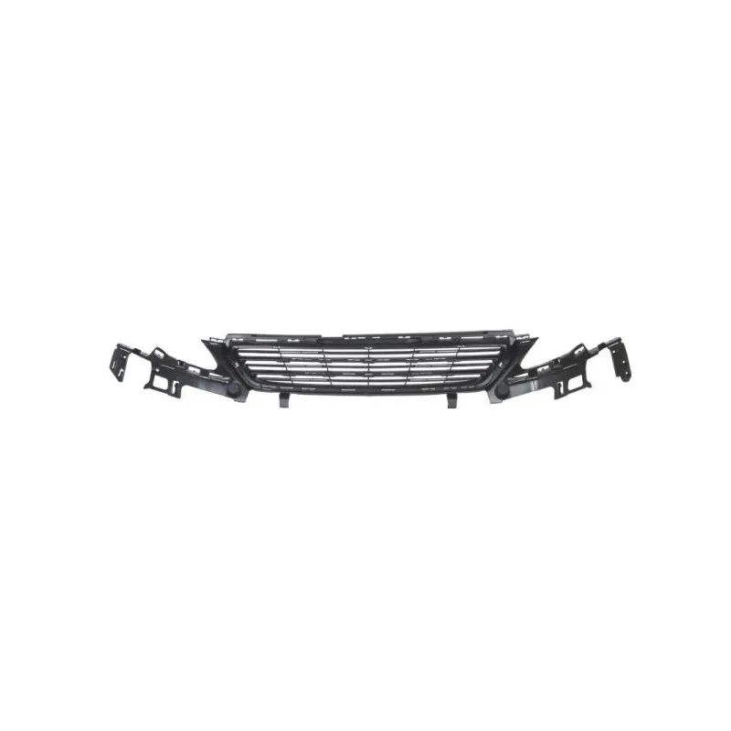 Grille de radiateur BLIC 6502-07-5519995P