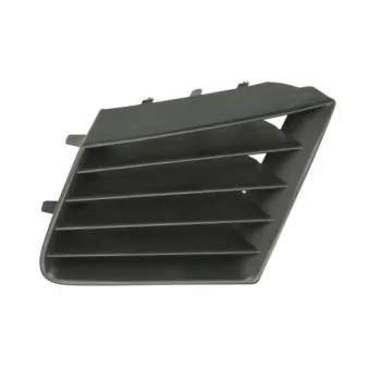 Grille de radiateur avant gauche BLIC 6502-07-6609991P