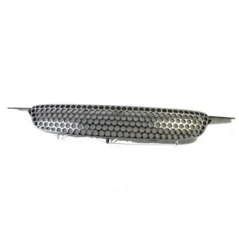 Grille de radiateur BLIC 6502-07-8114991P