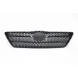 Grille de radiateur BLIC 6502-07-8116990P - Visuel 1