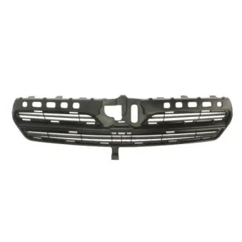 Grille de radiateur BLIC 6502-07-8116994P