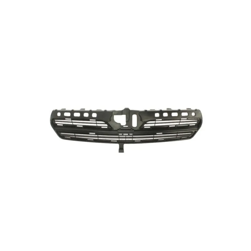 Grille de radiateur BLIC 6502-07-8116994P