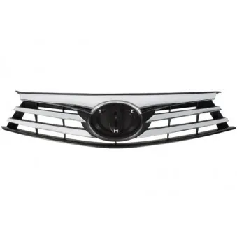 Grille de radiateur BLIC 6502-07-8119990P