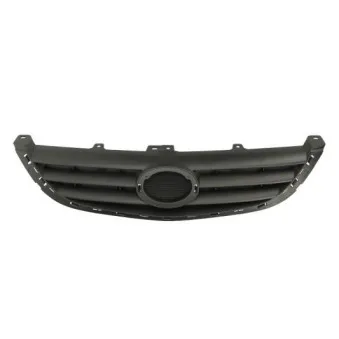 Grille de radiateur BLIC 6502-07-8160993Q