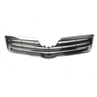 Grille de radiateur BLIC 6502-07-8161991P