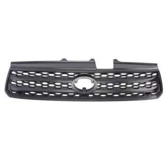 Grille de radiateur BLIC 6502-07-8179993P