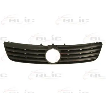 Grille de radiateur BLIC