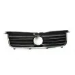 Grille de radiateur BLIC 6502-07-9539991P - Visuel 1