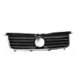 Grille de radiateur BLIC 6502-07-9539991P - Visuel 2