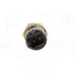 Sonde de température, liquide de refroidissement AIC 52545 - Visuel 2