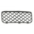 Grille de ventilation, pare-chocs avant droit BLIC 6502-07-9585920PP - Visuel 2