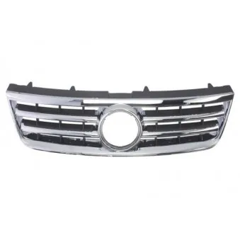 Grille de radiateur BLIC 6502-07-9585990P