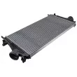 Intercooler, échangeur TEKNÖR CNG-PL-010 - Visuel 1