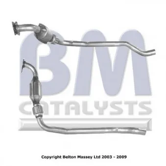 Catalyseur BM CATALYSTS BM80050H