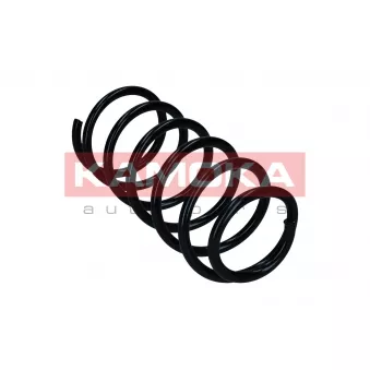 Ressort de suspension KAMOKA 2120471