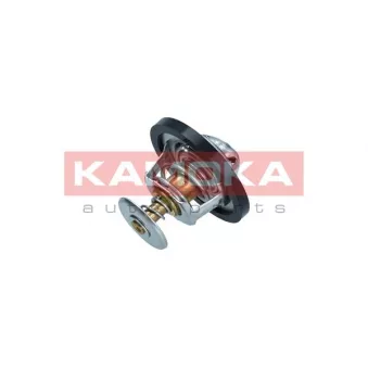 Thermostat, liquide de refroidissement KAMOKA 7710060