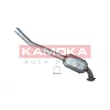 Catalyseur KAMOKA 8015001 - Visuel 1