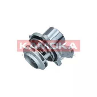 Pompe à eau KAMOKA T0280