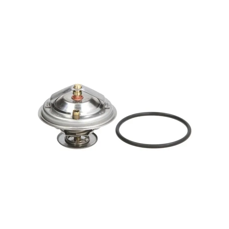 Thermostat d'eau THERMOTEC D2A002TT