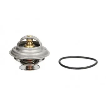 Thermostat d'eau THERMOTEC D2A003TT