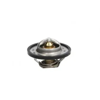 Thermostat d'eau THERMOTEC D2C001TT