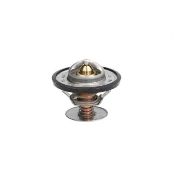 Thermostat d'eau THERMOTEC D2G001TT