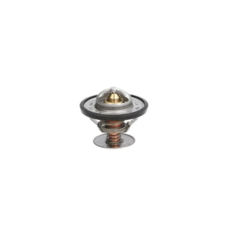 Thermostat d'eau THERMOTEC D2G001TT