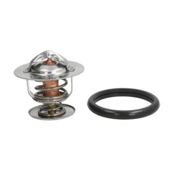 Thermostat d'eau THERMOTEC D2G003TT