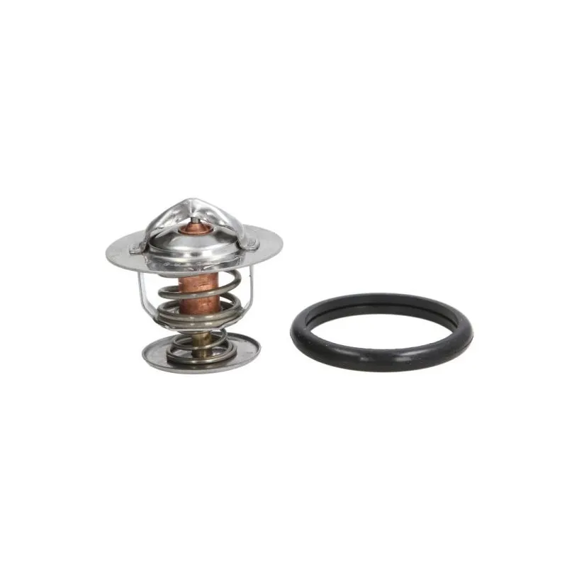 Thermostat d'eau THERMOTEC D2G003TT