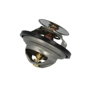 Thermostat d'eau THERMOTEC D2IV005TT